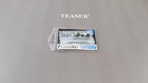 TEASER Iso Fishing Float External Clip Luminous Bead Float Auxiliary Connector Sliding Sea Fishing Accessories for Etsuki HooKS