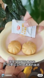 QTMM Soft Core Cranberry Cookies 12m+ 秋田满满 蔓越莓火山小曲奇（宝宝零食/Baby Snack）天天米好TianTianRiceKL