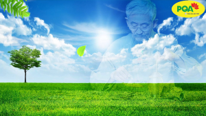 Siro Đinh Hương Tai Hồng PQA Giúp Ấm Dạ Giáng Khí Dùng Cho Trẻ Nhỏ Và Người Già Nôn Trớ Nấc Nghẹn Buồn Nôn Chai 125ml
