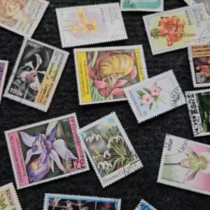 Combo 100 con tem Quốc Tế theo chủ đề giá rẻ tem sưu tập giá rẻ