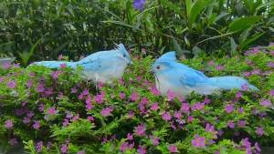 LWINGFLYER 12pcs Realistic Blue Jay Birds Clip on Artificial Birds Ornaments for Christmas Tree Decoration Wreaths Craft