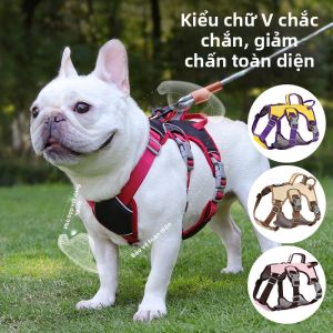 FENGCAO | Dây Dắt Chó Không Thoát