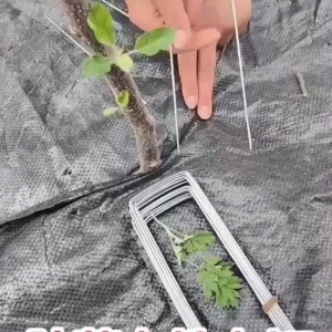 Galvanised Horticultural U-Pins | Durable Ground Pegs for Securing Weed Mats & Garden Fabric | Rust-Resistant Landscape Staples