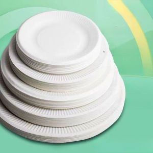 Bộ 50 Đĩa Giấy Dùng Một Lần Màu Trắng Bìa Cứng Hình Xương Dùng Cho Trẻ Em Vẽ Tranh Tiệc Tùng Đồ Dùng Tiệc Tự Làm