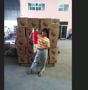 หยอดเมล็ดพันธุ์และปุ๋ยฮาชิเทค แบบพกพา 2 ช่อง กันน้ำ พร้อมสายไฟ