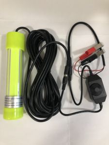 Raft Fishing Bridge Lamp Big Head Night Fishing Light Squid Light 12V Underwater Fish Attracting Lamp Waterproof Lamp Gather Fish Lamp