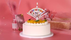Reusable Novelty Fan Birthday Candle Surprise Happy Birthday Candles Fan Wishing Candle Birthday Candles for Cake Fun Birthday Candles Kids Birthday