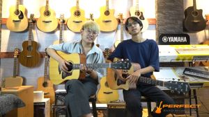 Mantic กีต้าร์โปร่ง ชายเว้า 41" รุ่น GT-10DC พร้อมกระเป๋า ปิ๊ก ประแจ สำหรับการเสริมเสริมสร้างเพลง ประสบการณ์การเพลงใหม่ ราคาที่น่าสนใจ