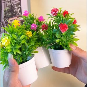 Azgalery PBP16 / Pot Bunga Plastik Tanaman Hias Bonsai Ornamen Dekorasi Rumah Import Jakarta / COD