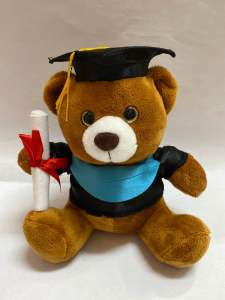 Boneka beruang Toga / bear wisuda / toga sarjana 7 (05021335)