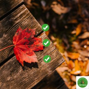 ĐIỆN GIẢI THẢO DƯỢC GLUCO K+C  NOVIVET thanh nhiệt giải độc chống nóng chống stress trên gia súc gia cầm gói 1 kg 100g