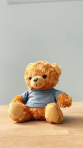 BEAR Teddy Plush Toy gift