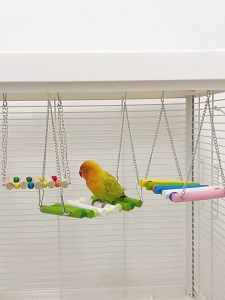 Xích đu thanh gỗ nhiều màu sắc cho chim vẹt (mẫu mới) - Love Pets Shop