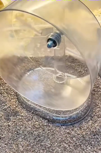 ✨Quiet Hamster Running Wheel High Dual Bearing Safe Transparent Easy to Clean Multiple Sizes 18/24cm. Pet Supplies✨