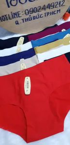 Bộ 5 quần lót nữ lụa su đúc trơn nhiều màu mã 5033 - My Loan 42