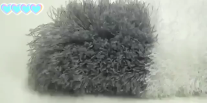 Microfiber Duster Kit For High Ceiling Cleaning With Extension Pole House Tool