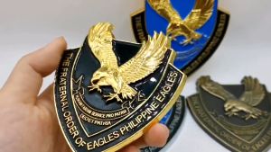 TFOE Eagles Emblem 3D Metal Waterproof Non-Fading 3.15inch Eagles Totem for Car Motorcycle 3M Bonding Car Styling 3D The Fraternal Order Metal Emblem Badge Animal Hawk Decoration Body Stickers The Fraternal Order of Eagles Emblem Triangle Shield Style