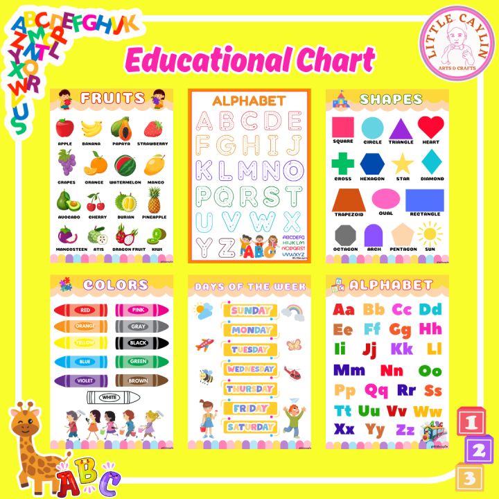 Educational Chat and Activities for Kids - A4 size laminated Chart ...