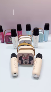 Bộ loa karaoke bluetooth 1 micro  mickey DISNEY LAND dễ thương