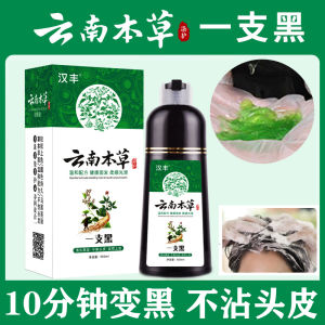 Yunnan Herbs One Wash Black Pure Plant Bubble Hair Dye Natural Black Covers Gray Hair for Middle-Aged And Elderly Non-Stick to Scalp