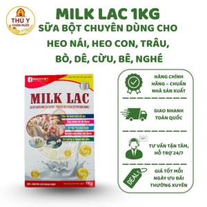 Sữa bột chuyên dụng cho heo nái heo con trâu bò dê cừu bê nghe - MILK LAC 1KG