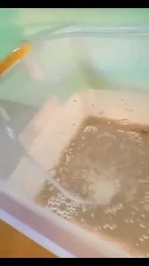 Paket Gelembung Udara aerator 1 lubang plus batu airstone siap pakai