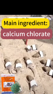 Died in 1 minute,died outside the house Rat Bait150 grams Buy 1 get 2 free Mouse Bait 1 pack kills 10000 rats Ubat Tikus Umpan Tikus Racun Tikus