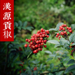 Sichuan Special Edible Han Yuan Qingxi Niu Po Gongjiao Hanyuan Peppercorns Superly Spicy Red Dry Peppercorns 128g