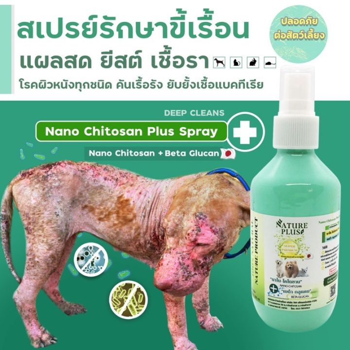 นาโนพลัส สเปรย์ เชื้อรา ยีสต์ แบคทีเรีย แผลสด แผลอักเสบ ปัญหา ผิวหนัง ...