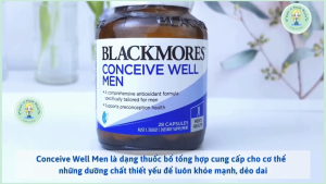 [Expiry 05/2028] Blackmores Conceive Well Men 28 Tablets - Vitamins for Male Fertility