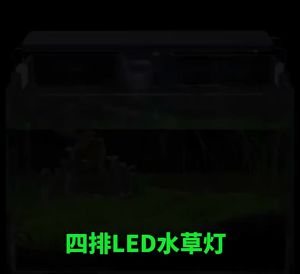 Lampu LED untuk Pencahayaan Akuarium: Panduan Lengkap