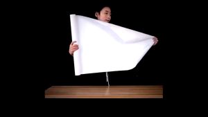 BLUE WHALE วอเปเปอร์ PVC ขนาด 45*50 cm พร้อมกาวในตัว ตัดรวมความยาวต่อเนื่อง ใช้ได้ในหลายพื้นที่ ห้องน้ำ ห้องครัว ห้องนั่งเล่น ห้องนอน ฯ พร้อมจัดส่งในไทย