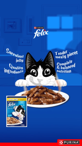 Felix Purina 85gx24pkts =2040g mackerel 31 july 2026 expiry mackerel in jelly for adult cat. Purina Felix Wet Cat Food.
