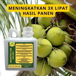 Pupuk Pelebat Kelapa: Cara Meningkatkan Hasil Panen