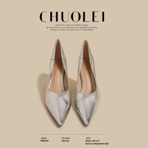 CHUOLEI | Summer New French Style Casual Silver Easy-On Low-Cut Mary Jane Heels
