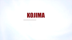 Kojima Pet Wash-free Cleaning Gloves Dog & Cat Bate Deodorant Dry Cleaning Disposable Wet Wipes Gloves