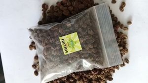 เมล็ดมะละกอแก้วกลางดง ขนาด 10 กรัม