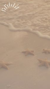 One Set Wanita Korea Style Kemeja Blouse Putih | Sweater Kekinian Silang | Celana Kulot 063A