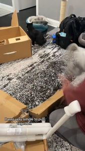 Ghế ăn cho bé Cybex Lemo Chair 3 in 1