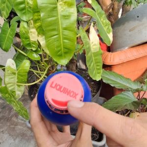 Pupuk Vitamin B1 Tanaman Liquinox Start Anti Stress Tanaman USA
