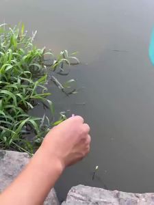 QAJTAO Kéo Câu Cá Đa Năng Bằng Thép Không Gỉ Di Động Nổi Dẫn Dụng Cụ Cắt Da Cho Thiết Bị Câu Cá