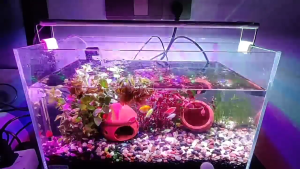 โคมไฟตู้ปลา โคมไฟ Led RGB ปรับสีได้ ไฟตกแต่ง สําหรับตกแต่งตู้ปลา ไฟติดตู้ปลา Aquarium Fish Tank Light