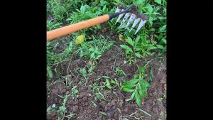 คราด คราดหญ้า คราดเหล็ก 7ฟันคราดถากหญ้า คาดหญ้า คราดเหล็ก คาดหญ้าเหล็ก คราด อุปกรณ์ทำสวน คราดมีด้าม ใช้ขุดดิน ขุ่นถางหญ้าดายหญ้า