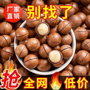 Hawaii Hazelnuts with Creamy Flavor Snacks 2 Pounds of Dry Fruits And Nuts Packaged in a Can for Leisure Time Snacking