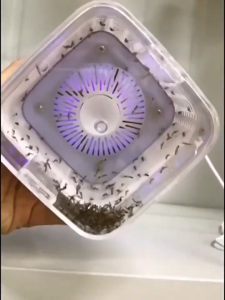 TOP SELLER USB ELECTRIC MOSQUITO KILLER LAMP | UV Light Trap For Home Bedroom & Office | Quiet Non Toxic Fly Zapper For Infants Mothers & Pets | Indoor Bug Control Effective Pest Eliminator & Insect Catcher