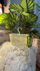 ตะกร้าหัวหอม เครื่องดื่มแบบแขวนผนัง - 10 ชั้น, สมบูรณ์ หน้าดื่มตามน้ำ ระบายน้ําได้ ไม่ต้องเจาะผนัง ชั้นวางในห้องน้ำ