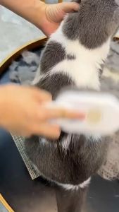 Silicone Cat Massage Steamy Comb Hair Removal For Pet Supplies 3-In-1 Electric Spray Grooming Brush