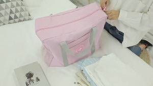 Foldable Bags Travel Hand Carry Bag with Luggage Slot Compatible
