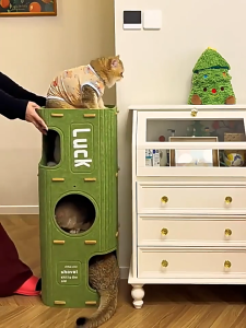 【COD】Felt Cat House Multi Storey Pet Condo Durable Felt Cat Tree Tunnel Semi Enclosed Kitty Nest Removable Cat Bed Indoor Cat Furniture Climbing Frame Cat Playhouse Affi1