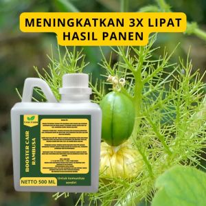 Pupuk Pelebat Rambusa / Pupuk Buah Rambusa / Pupuk Booster Rambusa / Pupuk Rambusa